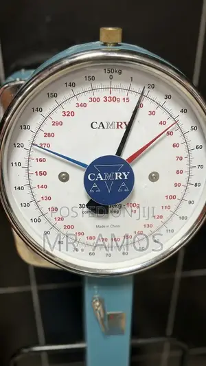 150kg Camry Analog Commercial Weighing Scale