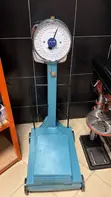 150kg Camry Analog Commercial Weighing Scale - 2