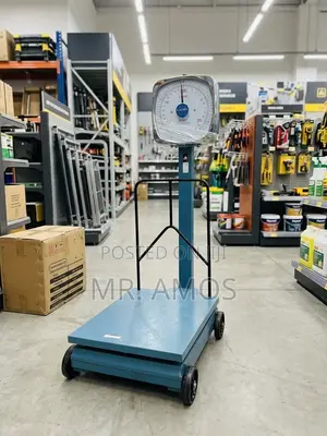 300kg Camry Analog Platform Scale