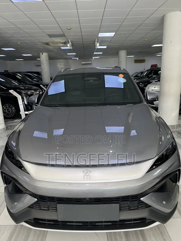 New BYD Song Pro DM-i 2025 Gray - 1