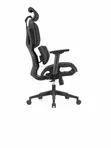 Eldo Mesh and Plastic Armrest Chair - 5