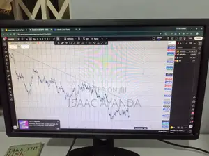 Dell 24-Inch Monitors (Used) - 2 Available