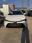 Toyota Corolla Hybrid LE 2025 White - 1