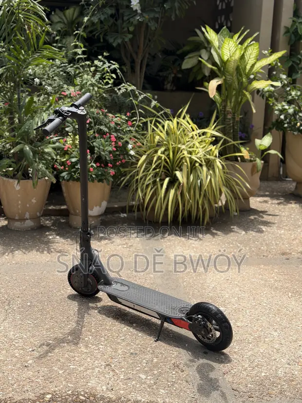 GPX DZ3 2020 Electric Scooter - Silver - 1