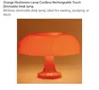 Mushroom LED Table Lamp - 1
