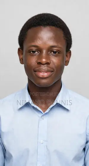 Retail CV: Hardworking Shop Assistant - Suame, Kumasi