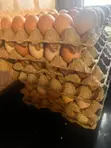 Table Chicken Eggs from Adams Farms - 2
