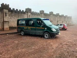 Mercedes-Benz Sprinter 2012 - Green