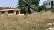 Land with Title Certificate at Westland - 2