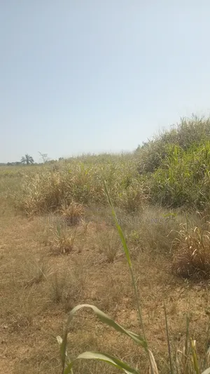 Alpha Estate Land for Sale at Nsawam Otukwadzo