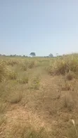 Alpha Estate Land for Sale at Nsawam Otukwadzo - 3