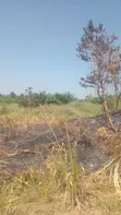 Alpha Estate Land for Sale at Nsawam Otukwadzo - 4