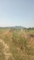 Alpha Estate Land for Sale at Nsawam Otukwadzo - 5