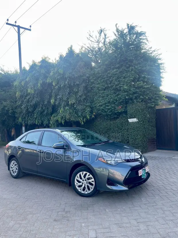 Toyota Corolla LE 2018 - 1