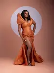 Damask Corset Mermaid Dress - 1