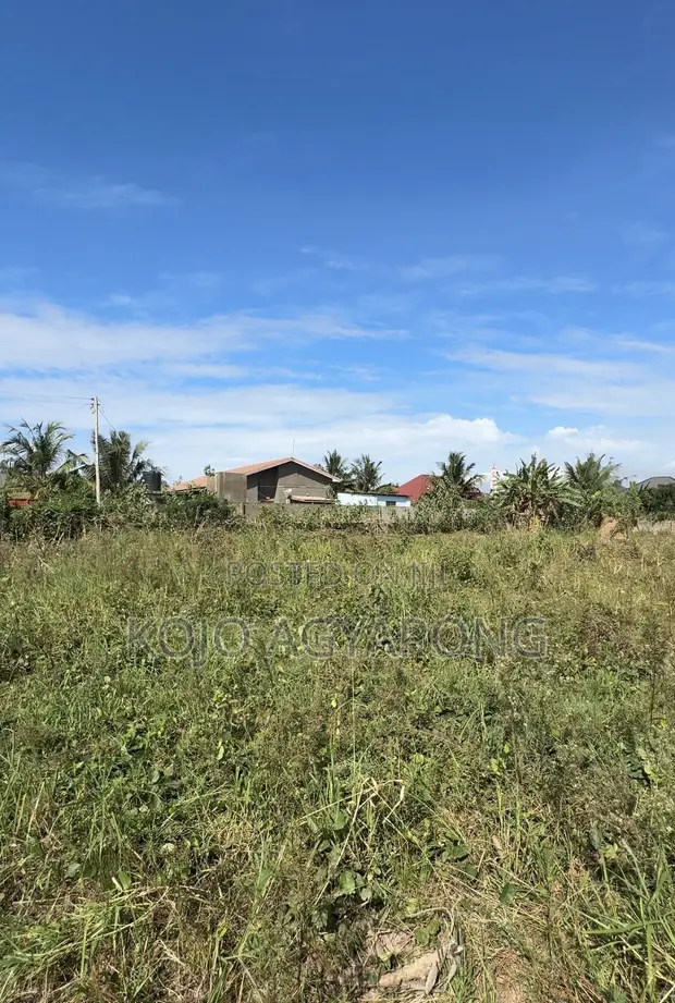 Two Plots of Residential Land for Sale in Sasaabi - 1