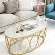 Elegant Oval Marble Coffee Table - 2