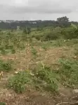 Titled Residential Land for Sale in Berekuso - 1