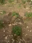 Titled Residential Land for Sale in Berekuso - 2