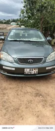 Toyota Corolla 2009 Green - 1