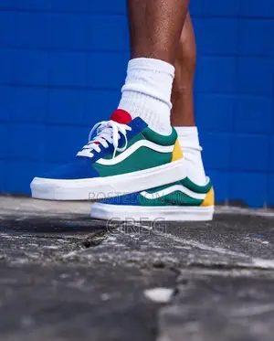 Multicolored Vans Sneakers