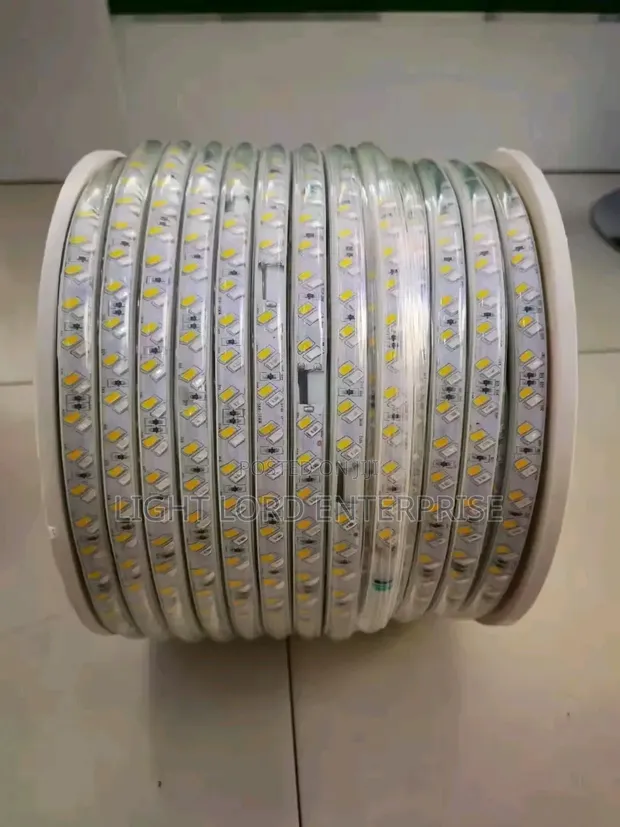 SMD Rope Light 2-Color 100m - 1