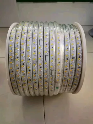 SMD Rope Light 2-Color 100m