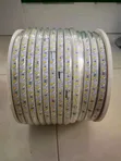 SMD Rope Light 2-Color 100m - 1