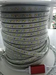 SMD Rope Light 2-Color 100m - 2