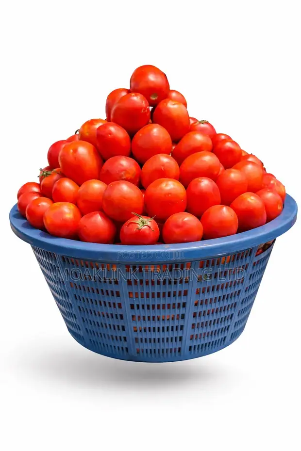 Fresh Tomatoes - 1 Basket (14-15kg) - 1