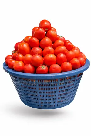 Fresh Tomatoes - 1 Basket (14-15kg)