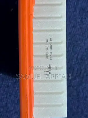 Jaguar XF/XJ Air Filter