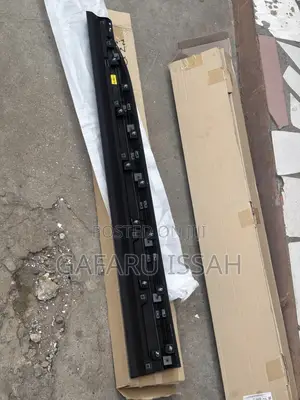 Hyundai Palisade Front Door Moulding (2018)