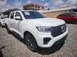 Great Wall Poer Premium 2023 White - 1