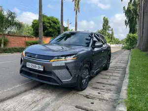 Electric Car for Rent - King Pablo Automative