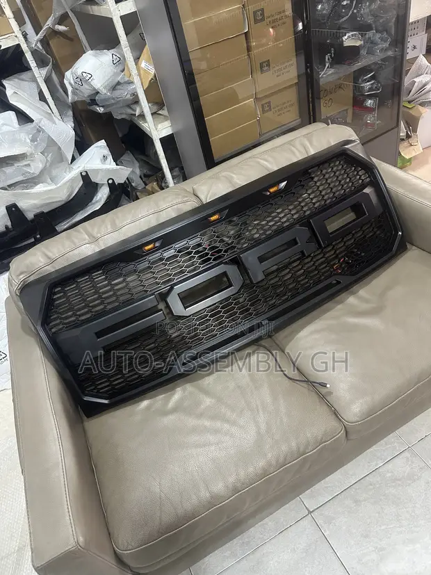 Ford F-150 Front Grille (2009-2014) - 1
