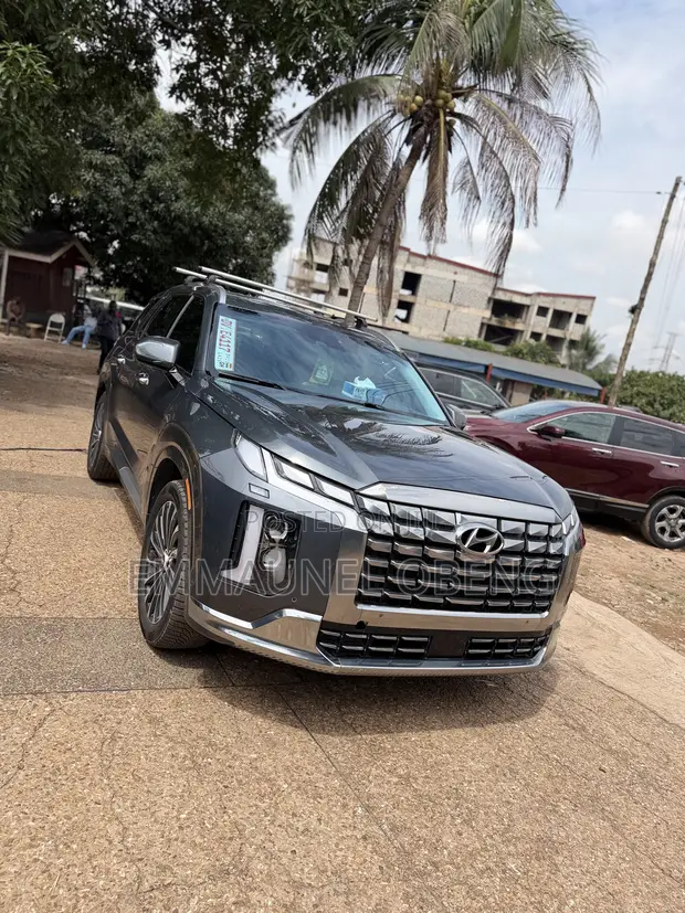 Hyundai Palisade Limited 2023 Green - 1