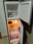 Pearl Top Freezer Refrigerator for Sale - 3