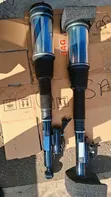 Rear Mercedes-Benz Airmatic Air Suspension Struts for S-Class W221 - 2