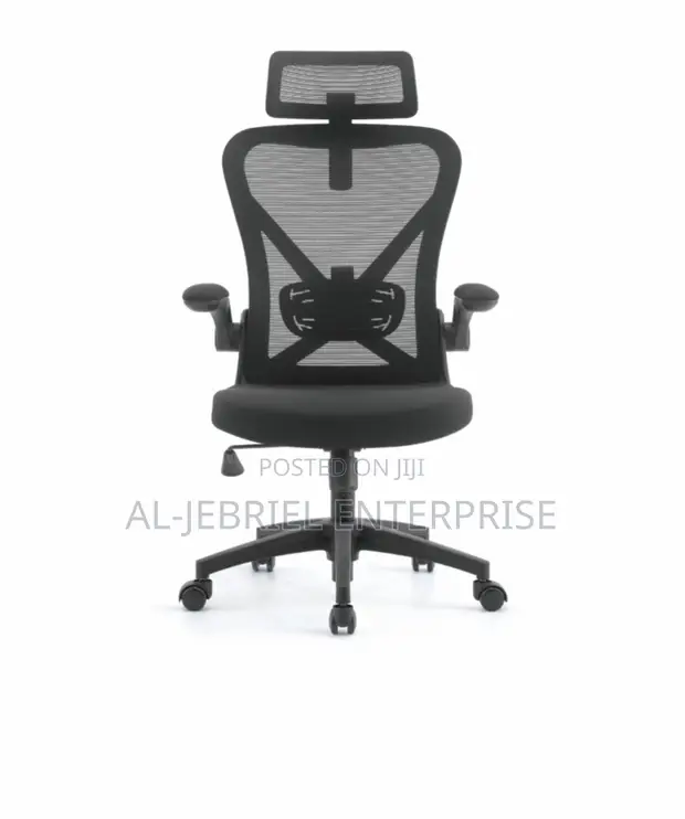 Eldo Mesh Office Chair with Headrest - 1