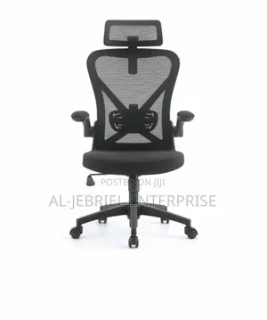 Eldo Mesh Office Chair with Headrest