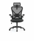 Eldo Mesh Office Chair with Headrest - 1