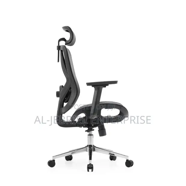 Eldo 3D Adjustable Armrest Chair - 1