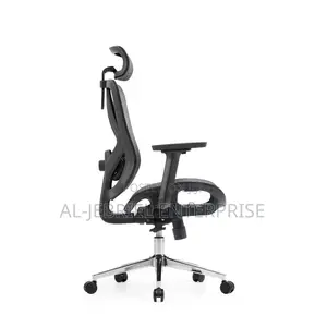 Eldo 3D Adjustable Armrest Chair