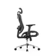 Eldo 3D Adjustable Armrest Chair - 1