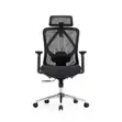 Eldo 3D Adjustable Armrest Chair - 2