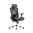 Eldo 3D Adjustable Armrest Chair - 3