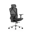 Eldo 3D Adjustable Armrest Chair - 4