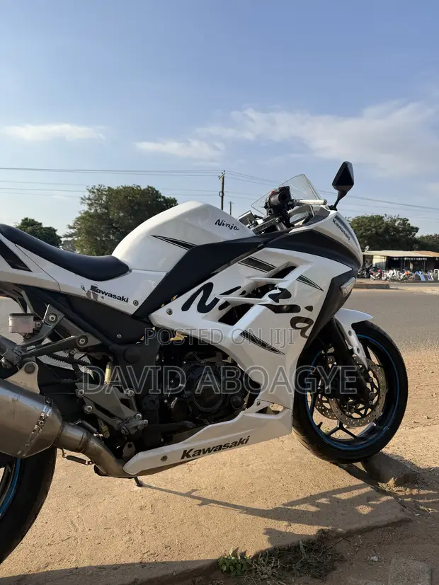 Kawasaki Ninja 300 2017 White - 1