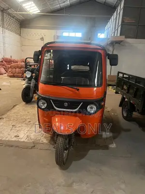 Brand New TVS Pragya Three-Wheeler - Orange